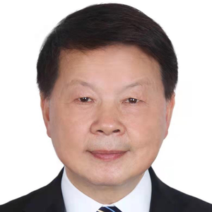 Xiaoming Zhou (Former Deputy Permanent Representative at Chinese Permanent Mission to the UN Office in Geneva and Other International Organizations)